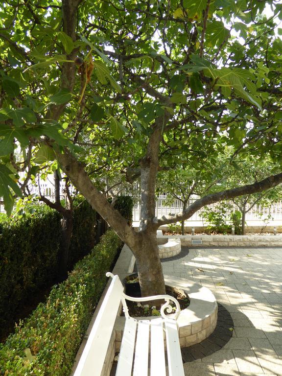 Apartments Bojanic Vodice Exterior photo